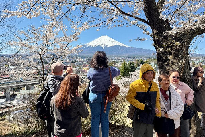 Tokyo: Customized Mt. Fuji & Hakone Sightseeing Private Day Trip