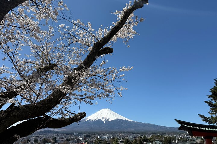 Tokyo: Customized Mt. Fuji & Hakone Sightseeing Private Day Trip