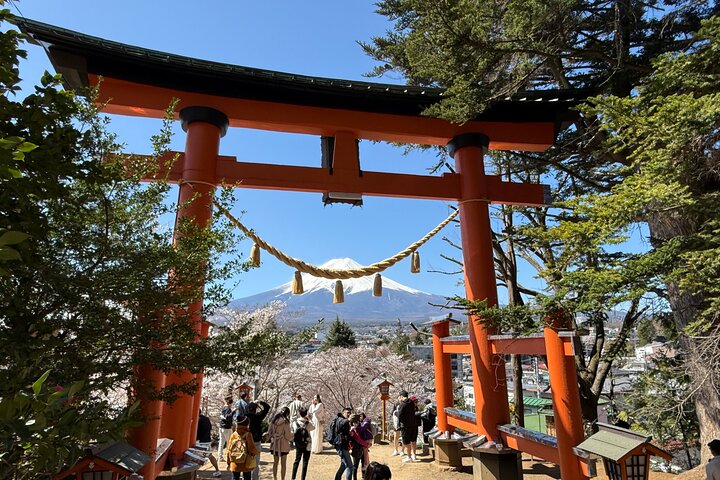 Tokyo: Customized Mt. Fuji & Hakone Sightseeing Private Day Trip
