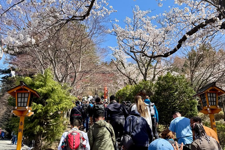 Tokyo: Customized Mt. Fuji & Hakone Sightseeing Private Day Trip