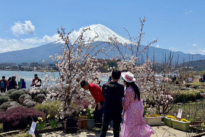 Tokyo: Customized Mt. Fuji & Hakone Sightseeing Private Day Trip