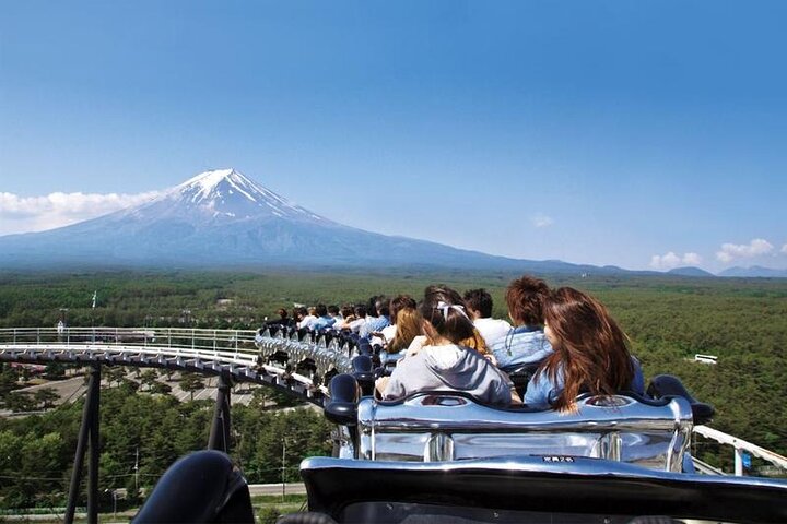 Mount Fuji Passes (optional)