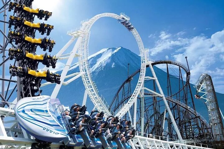 Mount Fuji Passes (optional)