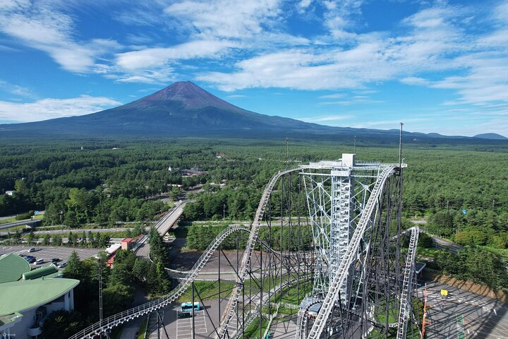 Mount Fuji Passes (optional)