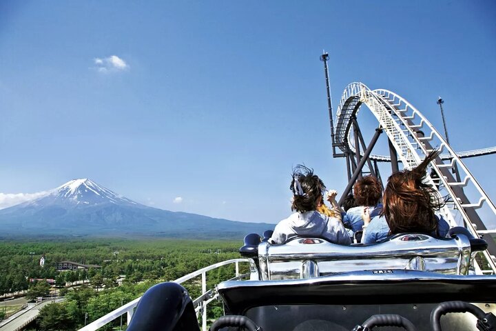 Mount Fuji Passes (optional)