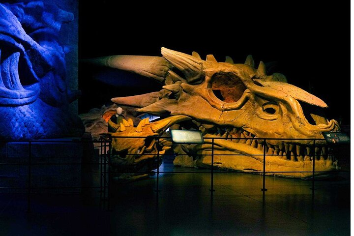 Game of Thrones Studio Tour with Coach Transfer from Dublin