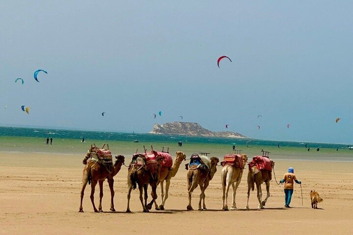 Dakhla Trip Adventure
