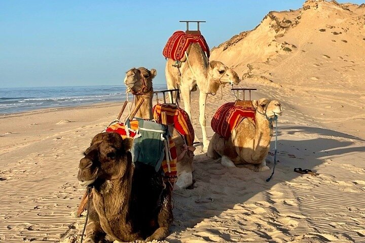 Dakhla Trip Adventure