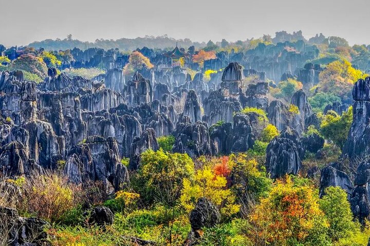All Inclusive Kunming Tour to Stone Forest,Flower and Bird Market