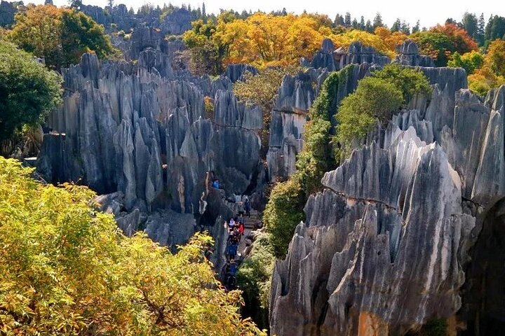 All Inclusive Kunming Tour to Stone Forest,Flower and Bird Market