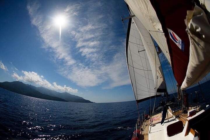 Sailing trip on the Secche della Meloria with aperitif and lunch
