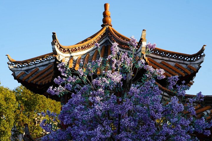 All Inclusive Kunming Tour to Stone Forest,Flower and Bird Market