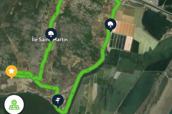 Gruissan by bike explore beaches salt ponds and vineyards freedom