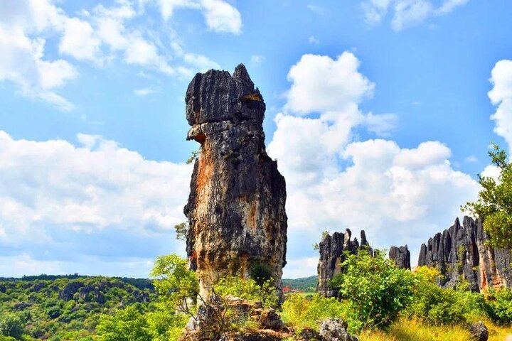 All Inclusive Kunming Tour to Stone Forest,Flower and Bird Market