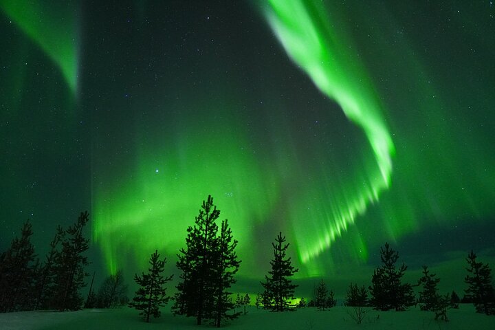 Northern Lights Rovaniemi: Guaranteed Viewing & Unlimited Mileage