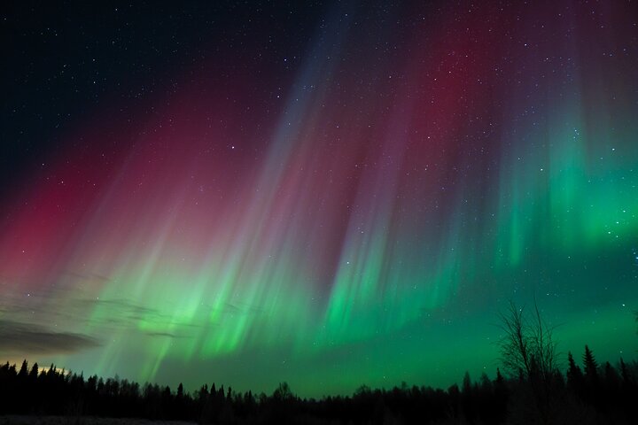 Northern Lights Rovaniemi: Guaranteed Viewing & Unlimited Mileage