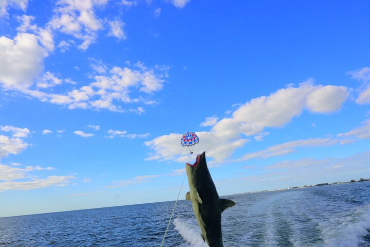 Parasailing Adventure In Bradenton Beach & Anna Maria Island, FL