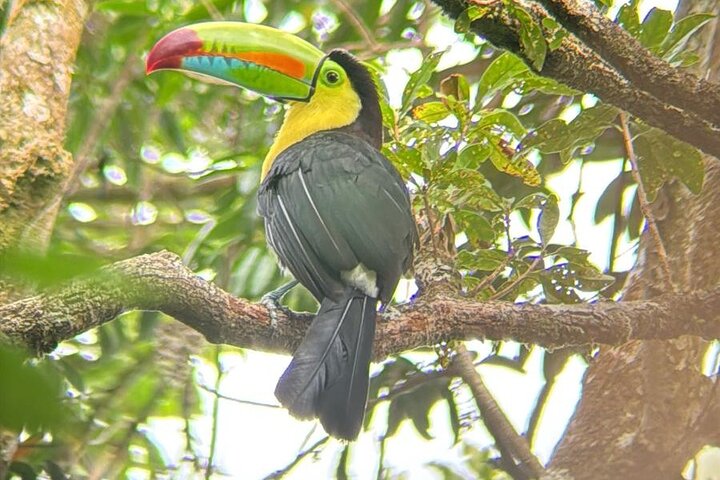 Guided tour in the Curicancha Reserve