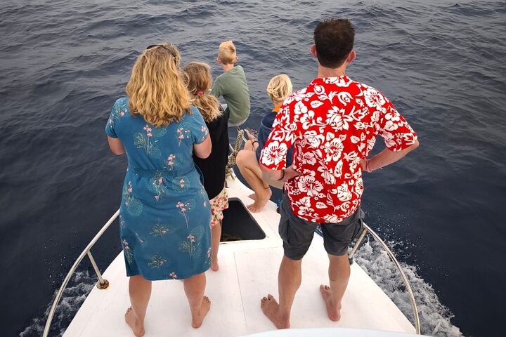 Sustainable Dolphin Watching in Pemuteran