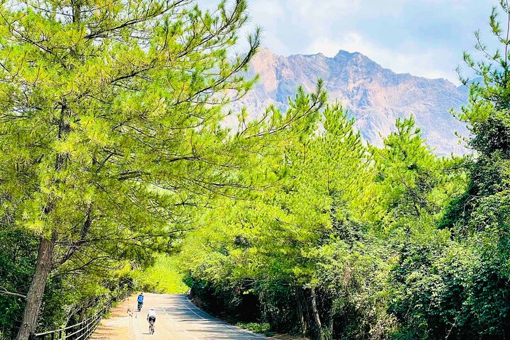 Sakurajima Century Lava Climb Journey with E-bike