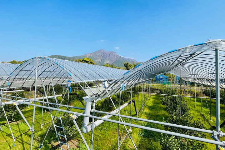 Sakurajima Century Lava Climb Journey with E-bike