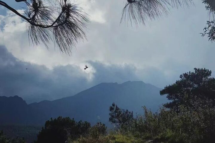 Cangshan Mountain hike and organic homemade dinner