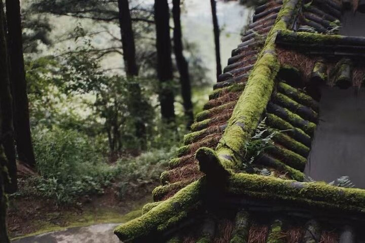 Cangshan Mountain hike and organic homemade dinner