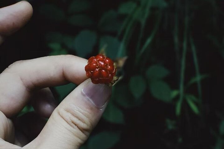 Cangshan Mountain hike and organic homemade dinner