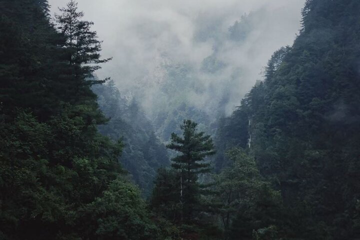 Cangshan Mountain hike and organic homemade dinner