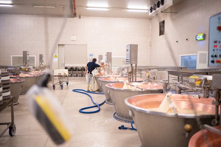 Bologna Food Valley Small Group Factory Tasting and Winery Lunch