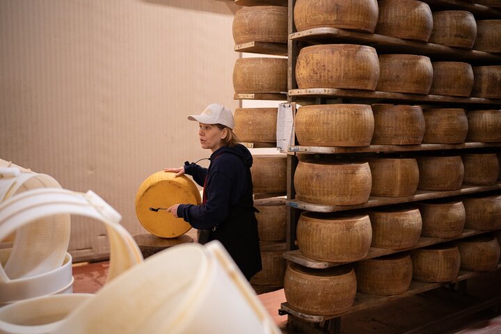 Bologna Food Valley Small Group Factory Tasting and Winery Lunch