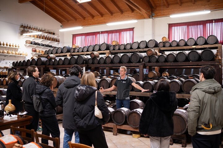 Bologna Food Valley Small Group Factory Tasting and Winery Lunch