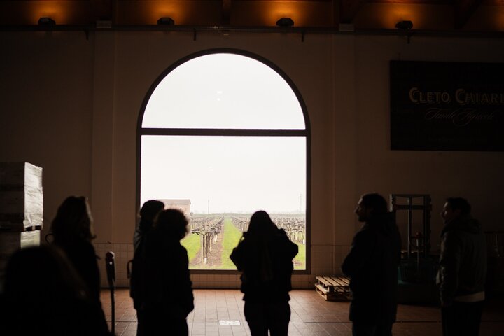 Bologna Food Valley Small Group Factory Tasting and Winery Lunch