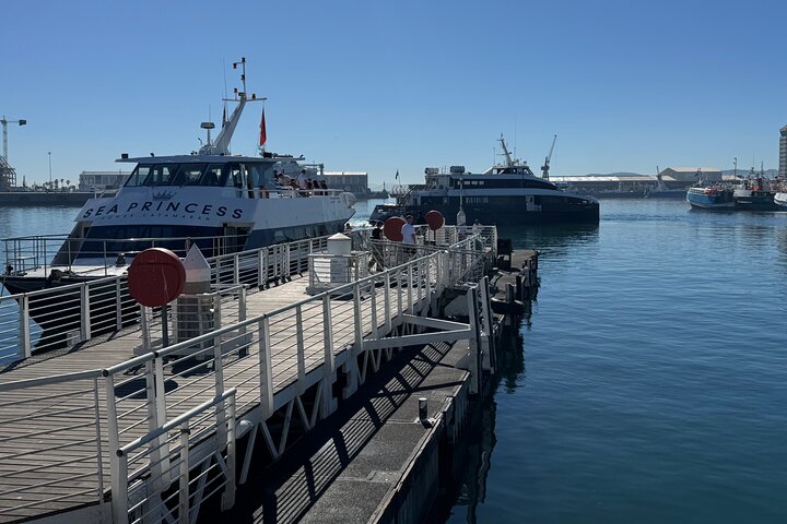 Robben Island Tour from Cape Town: Pre-Booked Ticket & Transfers