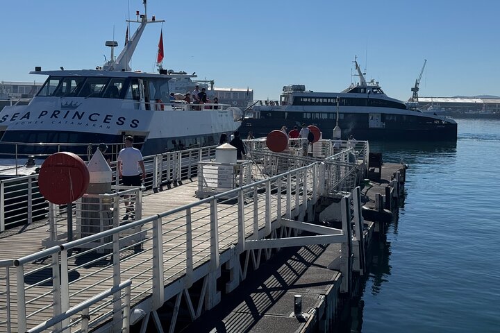 Robben Island Tour from Cape Town: Pre-Booked Ticket & Transfers
