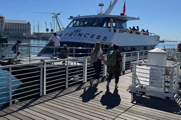 Robben Island Tour from Cape Town: Pre-Booked Ticket & Transfers