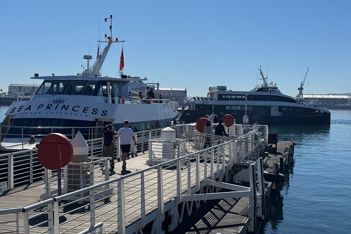 Robben Island Tour from Cape Town: Pre-Booked Ticket & Transfers