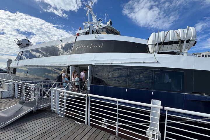 Robben Island Tour from Cape Town: Pre-Booked Ticket & Transfers