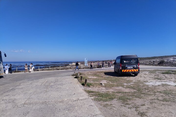 Robben Island Tour from Cape Town: Pre-Booked Ticket & Transfers