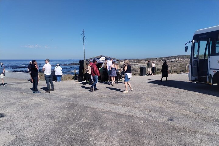 Robben Island Tour from Cape Town: Pre-Booked Ticket & Transfers