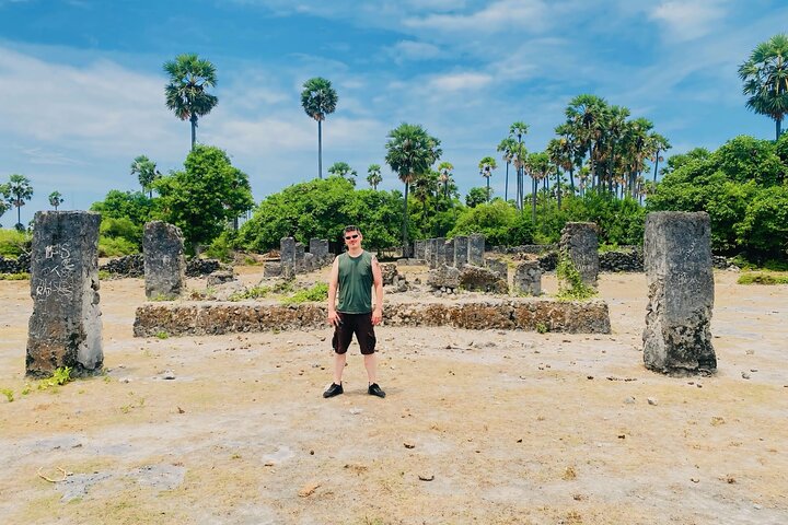 Full Day Tour Delft and Nainativu Island Adventure from Jaffna