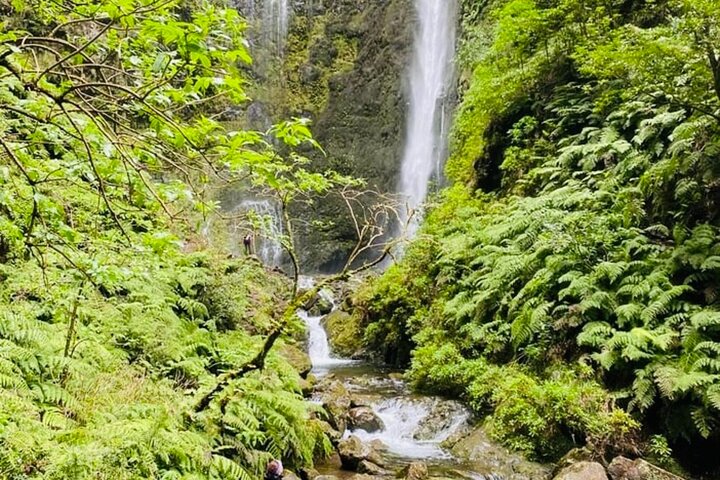 Levada do Caldeirão Verde Self-Guided Hike in Madeira