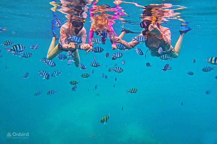 OnBird - Private family KID-FRIENDLY Snorkeling trip by speedboat in Phu Quoc