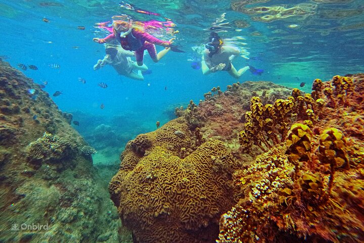 OnBird - Private family KID-FRIENDLY Snorkeling trip by speedboat in Phu Quoc