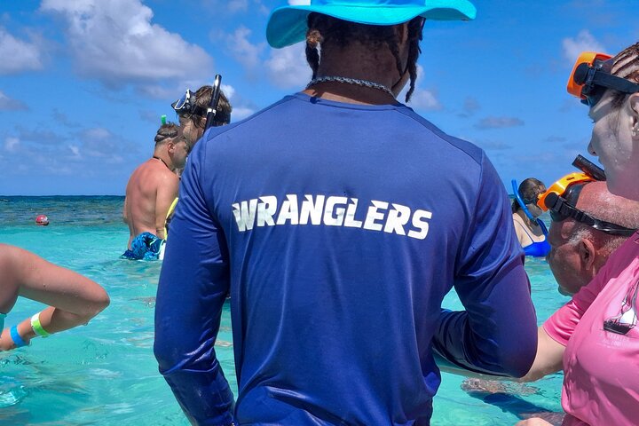 4h Antigua Must-Do: Stingray City & Long Bay Beach