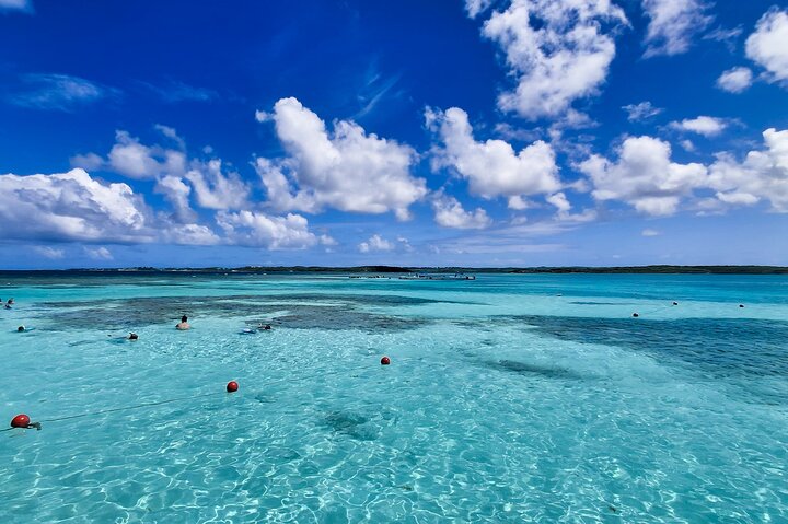 Antigua Stingray Adventure with Guaranteed Return to Ship