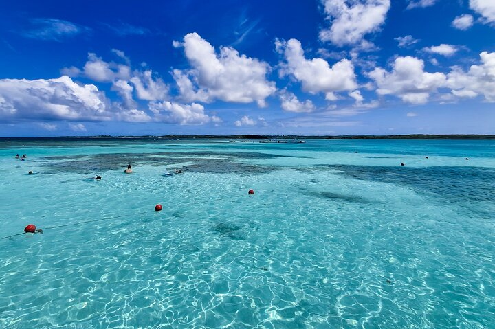4h Antigua Must-Do: Stingray City & Long Bay Beach