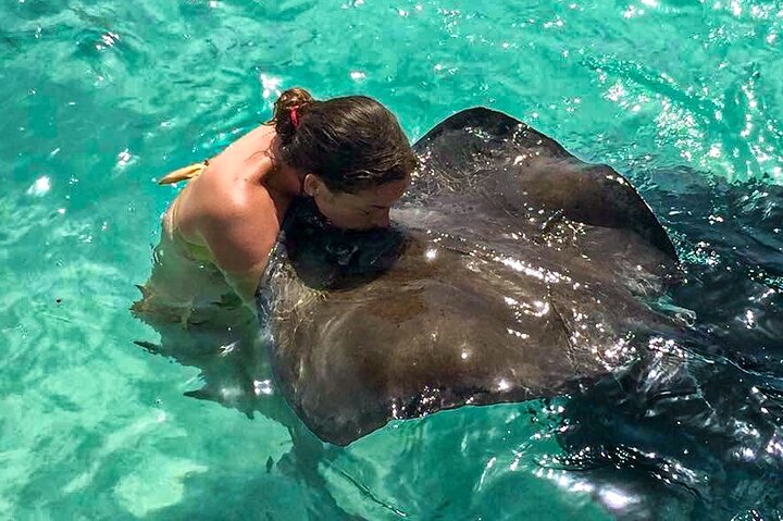 4h Antigua Must-Do: Stingray City & Long Bay Beach