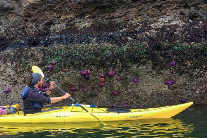 Rosario Coastal Kayak Tour on Orcas Island