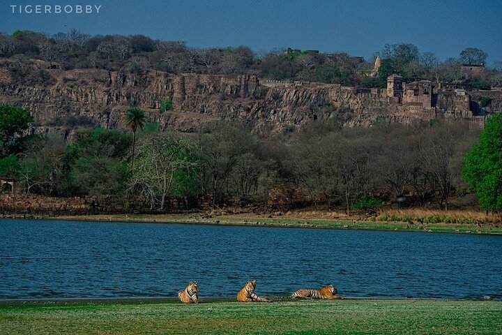 Ranthambore National Park